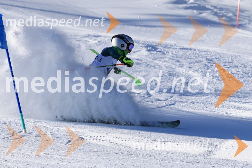 Prva tekma v smučanju Vzhodna regija U10-U12 Veleslalom 2026