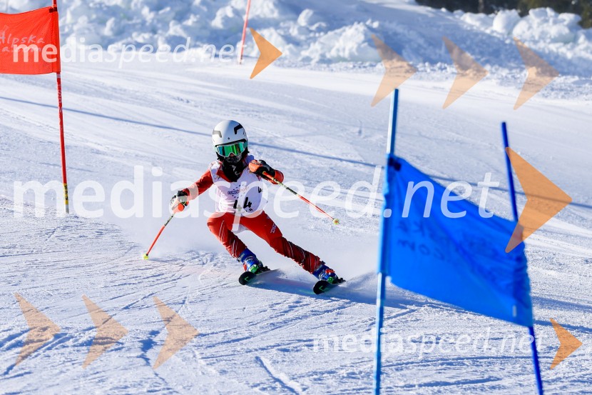 Prva tekma v smučanju Vzhodna regija U10-U12 Veleslalom 2026