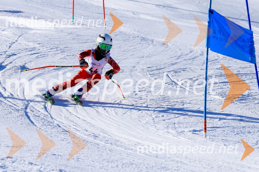 Prva tekma v smučanju Vzhodna regija U10-U12 Veleslalom 2026