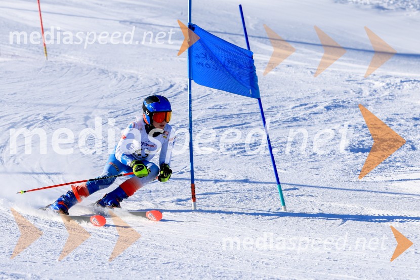 Prva tekma v smučanju Vzhodna regija U10-U12 Veleslalom 2026