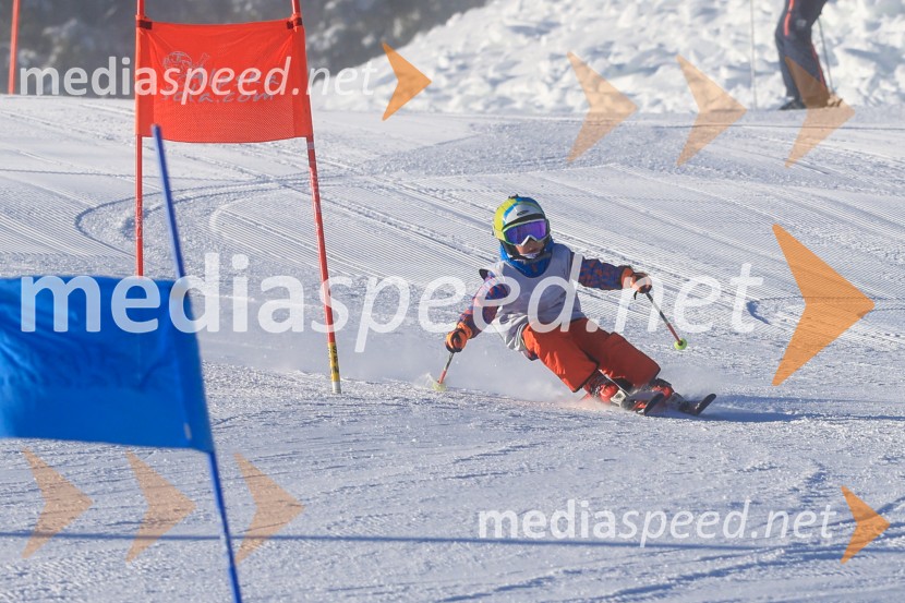 Prva tekma v smučanju Vzhodna regija U10-U12 Veleslalom 2026