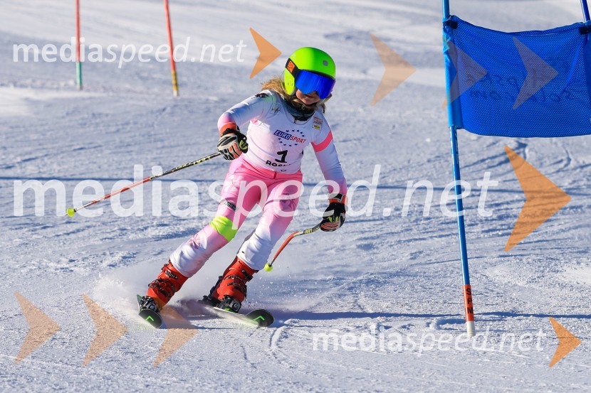 Prva tekma v smučanju Vzhodna regija U10-U12 Veleslalom 2026