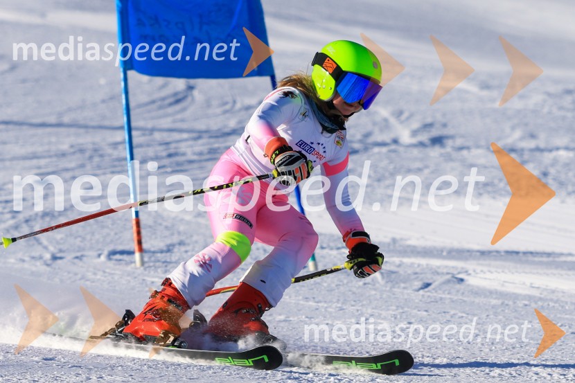 Prva tekma v smučanju Vzhodna regija U10-U12 Veleslalom 2026