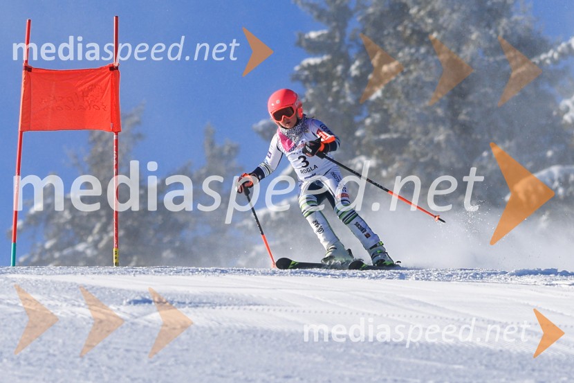 Prva tekma v smučanju Vzhodna regija U10-U12 Veleslalom 2026