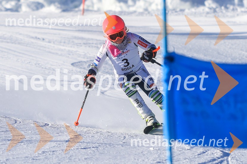 Prva tekma v smučanju Vzhodna regija U10-U12 Veleslalom 2026
