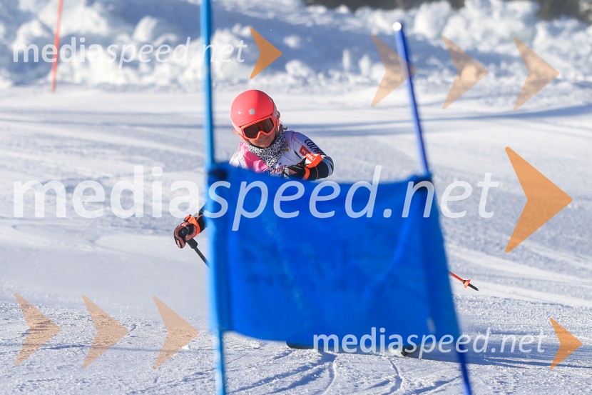 Prva tekma v smučanju Vzhodna regija U10-U12 Veleslalom 2026