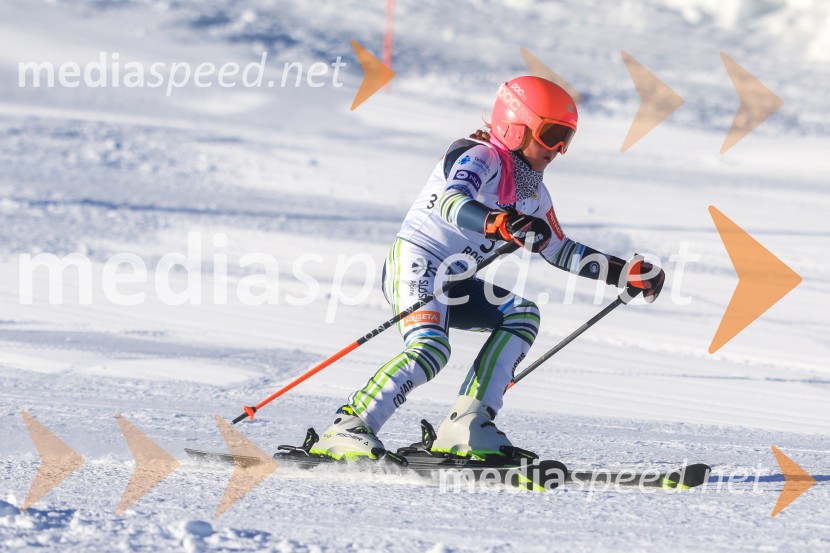 Prva tekma v smučanju Vzhodna regija U10-U12 Veleslalom 2026