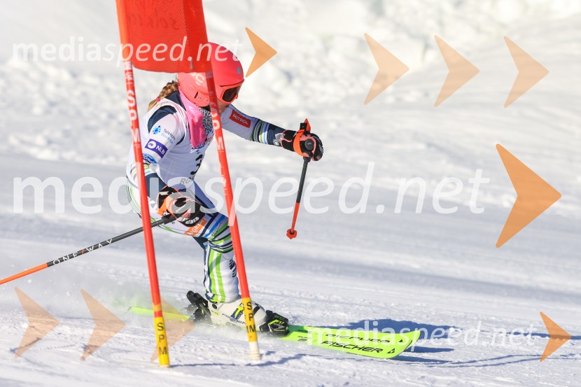Prva tekma v smučanju Vzhodna regija U10-U12 Veleslalom 2026