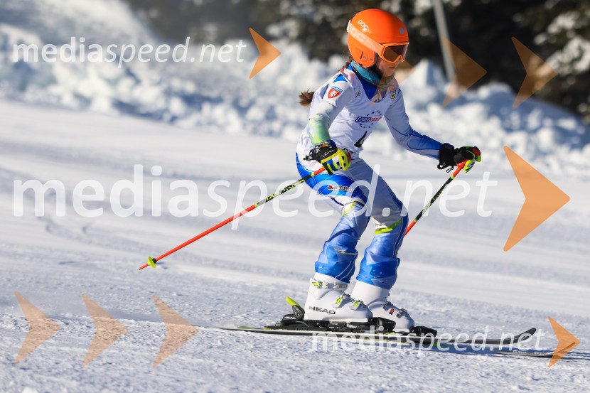 Prva tekma v smučanju Vzhodna regija U10-U12 Veleslalom 2026