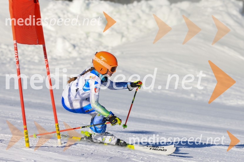 Prva tekma v smučanju Vzhodna regija U10-U12 Veleslalom 2026
