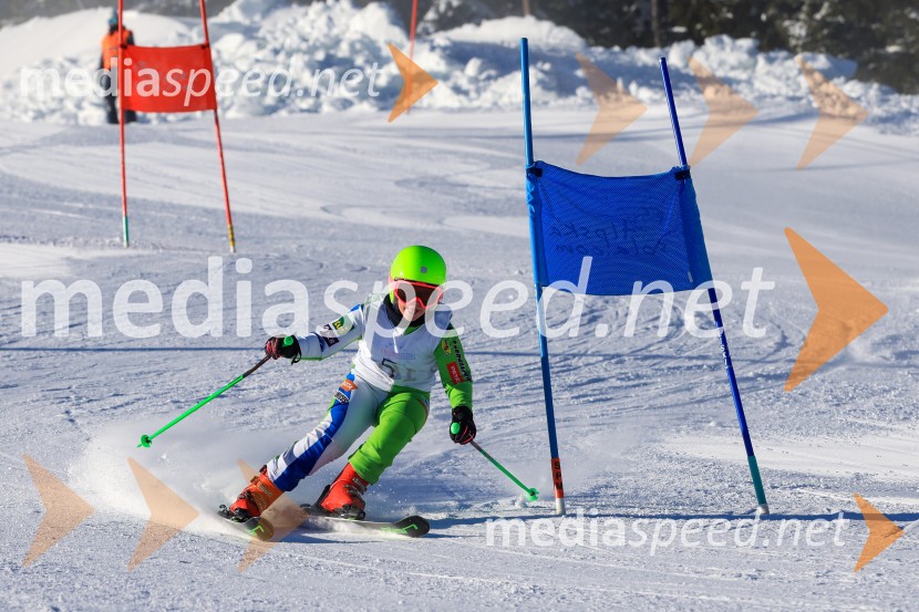 Prva tekma v smučanju Vzhodna regija U10-U12 Veleslalom 2026