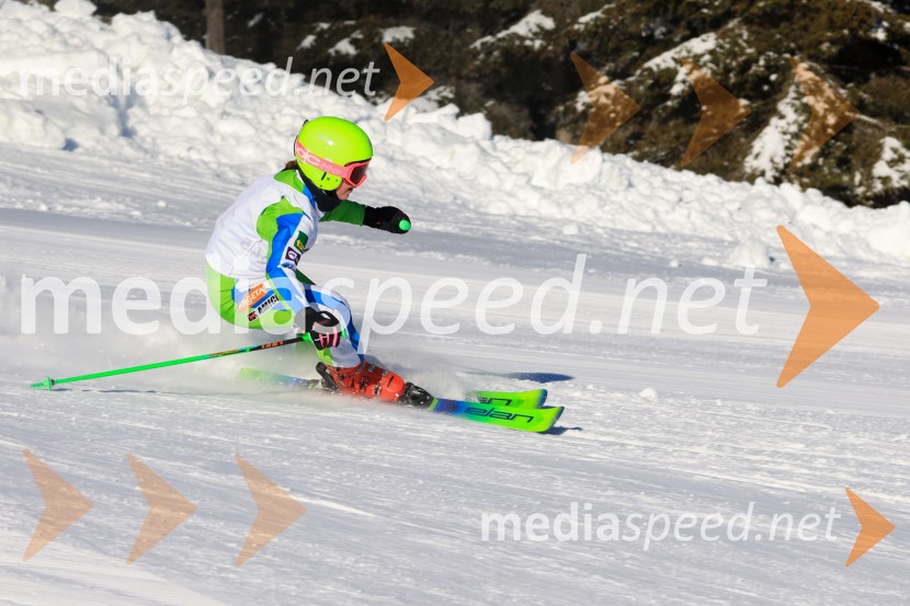 Prva tekma v smučanju Vzhodna regija U10-U12 Veleslalom 2026