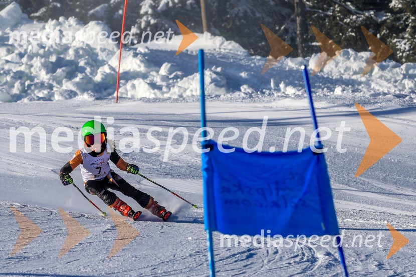 Prva tekma v smučanju Vzhodna regija U10-U12 Veleslalom 2026