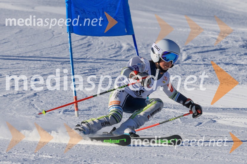 Prva tekma v smučanju Vzhodna regija U10-U12 Veleslalom 2026