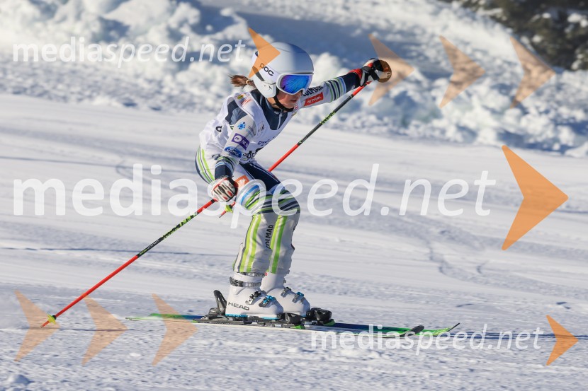 Prva tekma v smučanju Vzhodna regija U10-U12 Veleslalom 2026