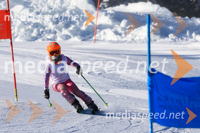 Prva tekma v smučanju Vzhodna regija U10-U12 Veleslalom 2026