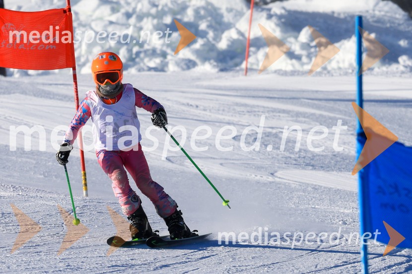 Prva tekma v smučanju Vzhodna regija U10-U12 Veleslalom 2026