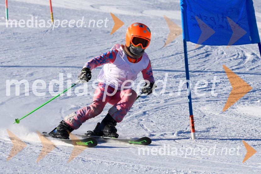 Prva tekma v smučanju Vzhodna regija U10-U12 Veleslalom 2026
