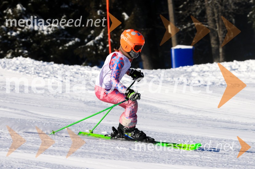 Prva tekma v smučanju Vzhodna regija U10-U12 Veleslalom 2026