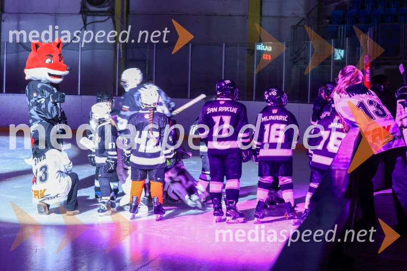 Hokejski večer v Ledni dvorani: mariborski Lisjaki proti Eislauf-Verein