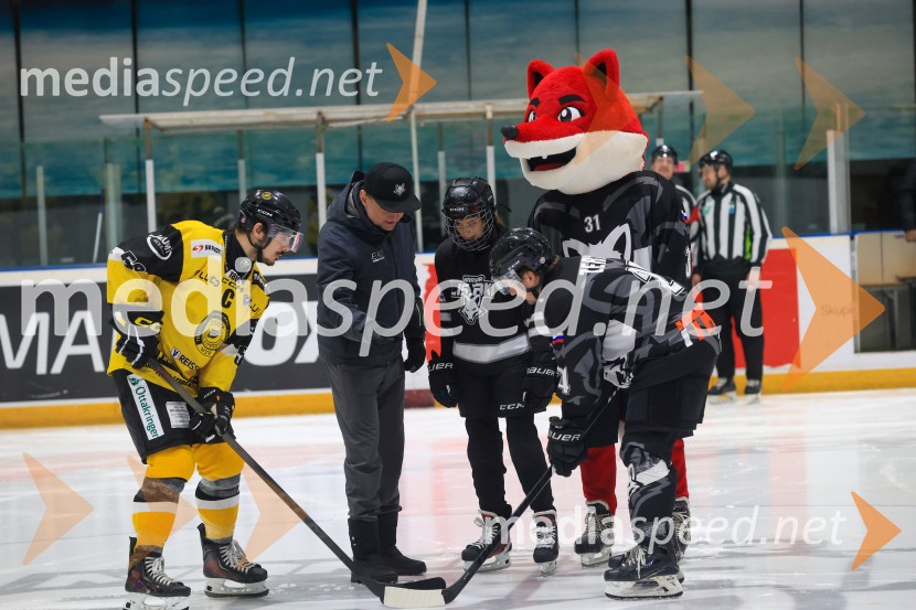 Hokejski večer v Ledni dvorani: mariborski Lisjaki proti Eislauf-Verein