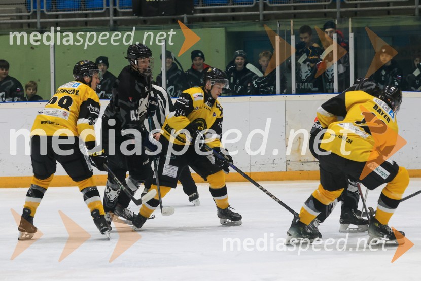 Hokejski večer v Ledni dvorani: mariborski Lisjaki proti Eislauf-Verein