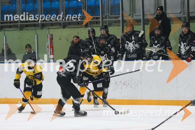 Hokejski večer v Ledni dvorani: mariborski Lisjaki proti Eislauf-Verein