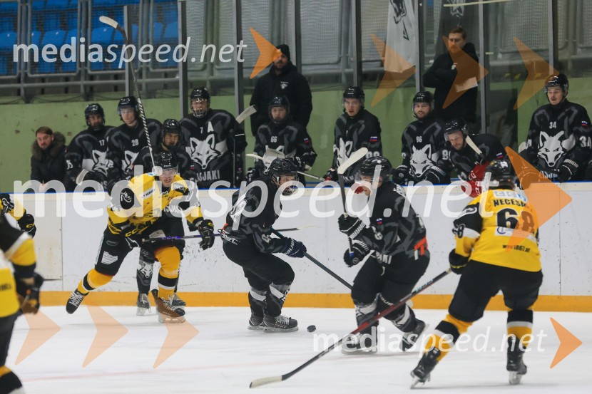 Hokejski večer v Ledni dvorani: mariborski Lisjaki proti Eislauf-Verein