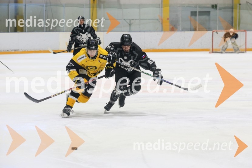 Hokejski večer v Ledni dvorani: mariborski Lisjaki proti Eislauf-Verein