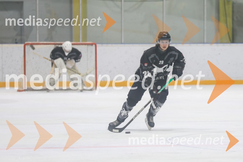 Hokejski večer v Ledni dvorani: mariborski Lisjaki proti Eislauf-Verein