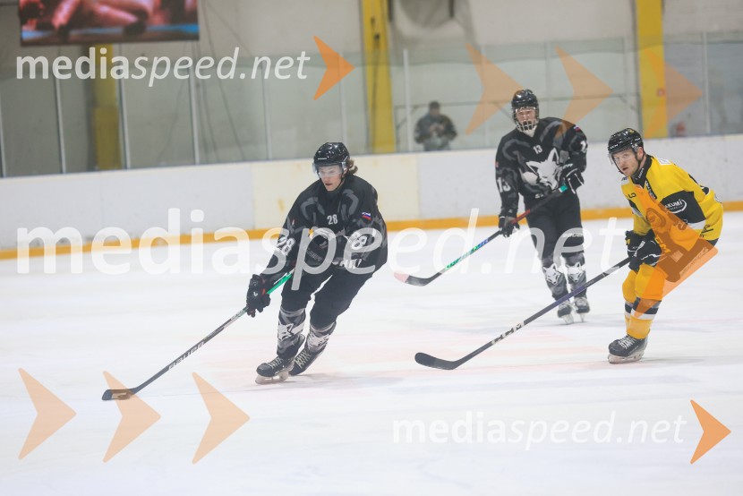 Hokejski večer v Ledni dvorani: mariborski Lisjaki proti Eislauf-Verein