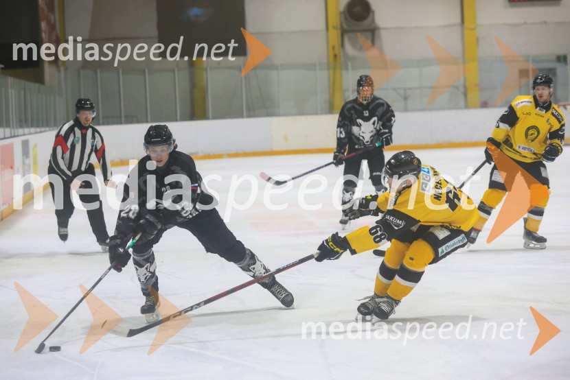 Hokejski večer v Ledni dvorani: mariborski Lisjaki proti Eislauf-Verein
