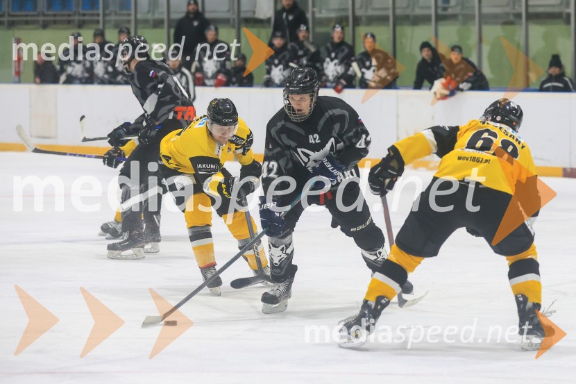Hokejski večer v Ledni dvorani: mariborski Lisjaki proti Eislauf-Verein