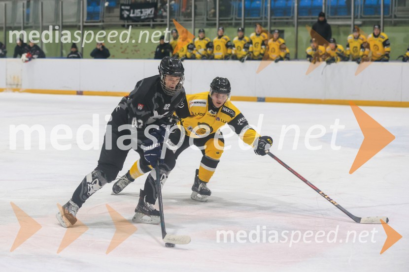 Hokejski večer v Ledni dvorani: mariborski Lisjaki proti Eislauf-Verein