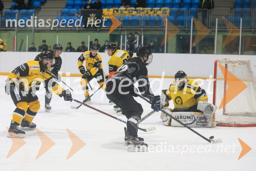 Hokejski večer v Ledni dvorani: mariborski Lisjaki proti Eislauf-Verein