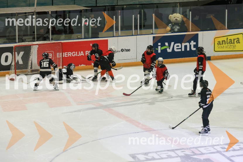 Hokejski večer v Ledni dvorani: mariborski Lisjaki proti Eislauf-Verein