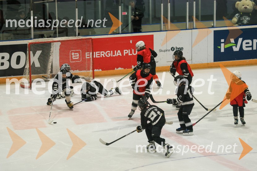 Hokejski večer v Ledni dvorani: mariborski Lisjaki proti Eislauf-Verein