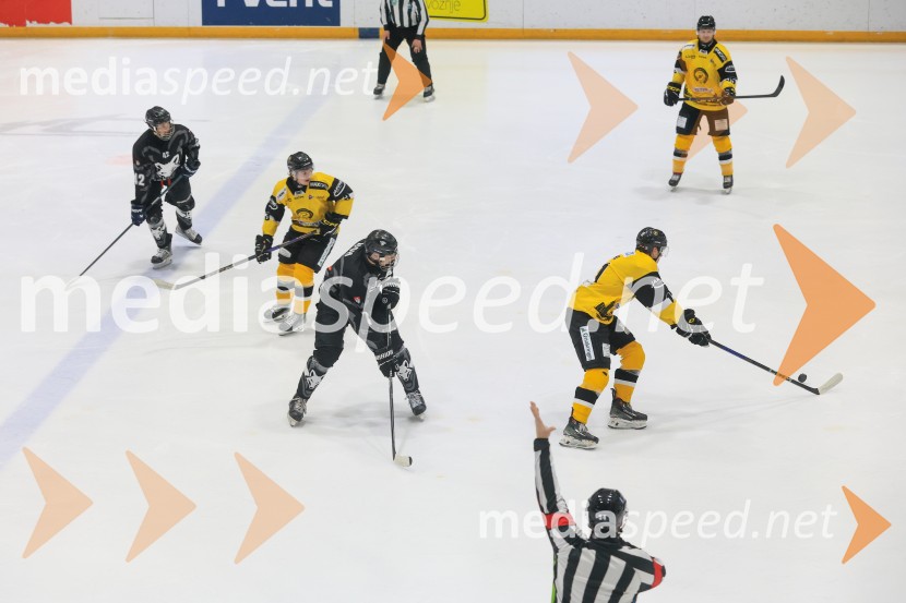 Hokejski večer v Ledni dvorani: mariborski Lisjaki proti Eislauf-Verein