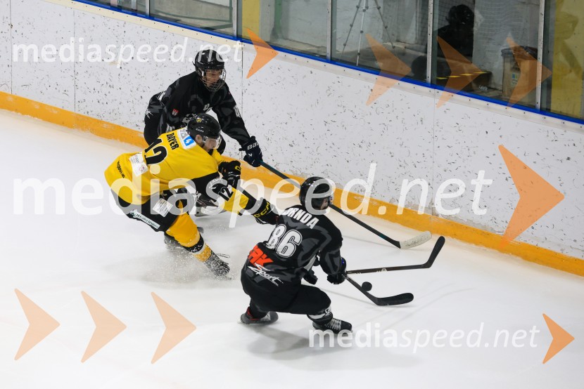 Hokejski večer v Ledni dvorani: mariborski Lisjaki proti Eislauf-Verein