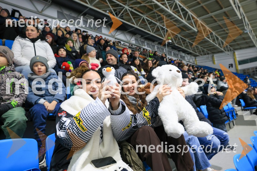 Hokejski večer v Ledni dvorani: mariborski Lisjaki proti Eislauf-Verein