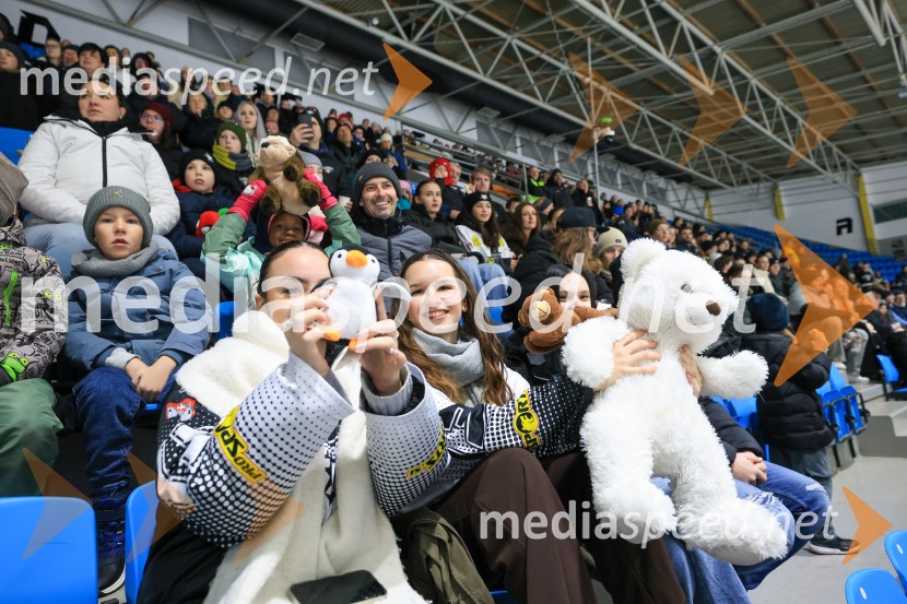 Hokejski večer v Ledni dvorani: mariborski Lisjaki proti Eislauf-Verein