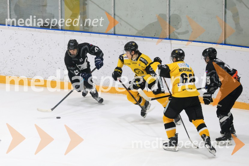 Hokejski večer v Ledni dvorani: mariborski Lisjaki proti Eislauf-Verein