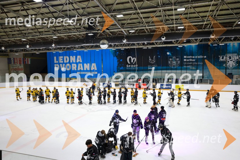 Hokejski večer v Ledni dvorani: mariborski Lisjaki proti Eislauf-Verein