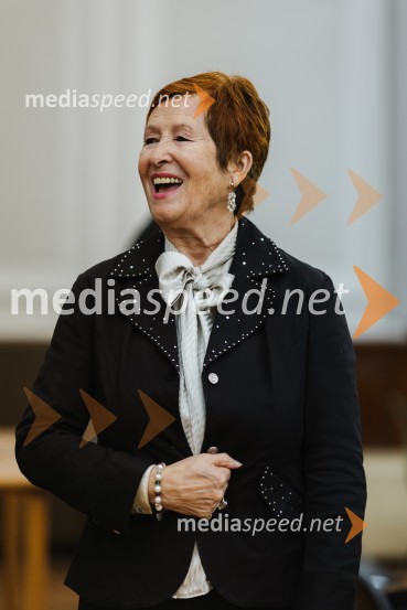 Reka Soča in njeni mostovi, razstava