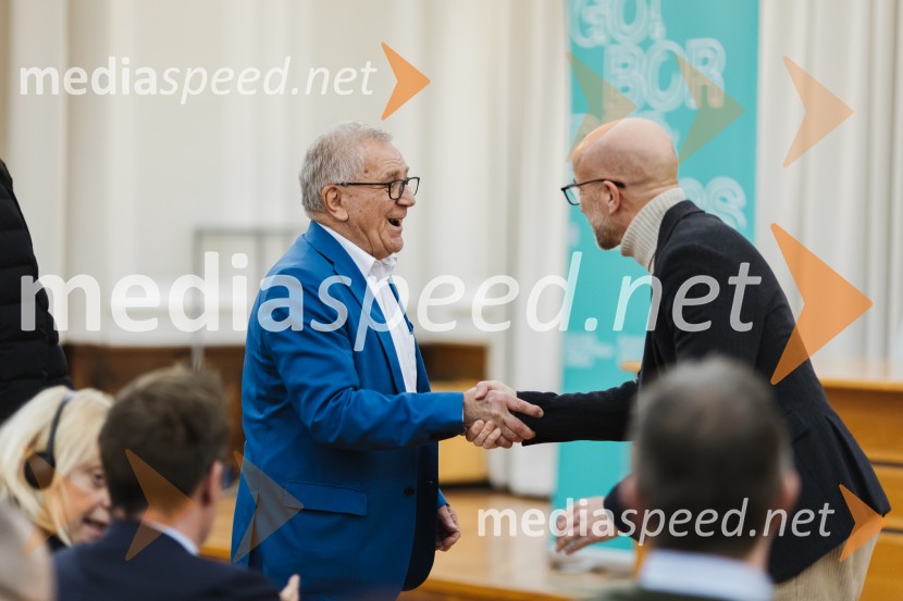 Reka Soča in njeni mostovi, razstava