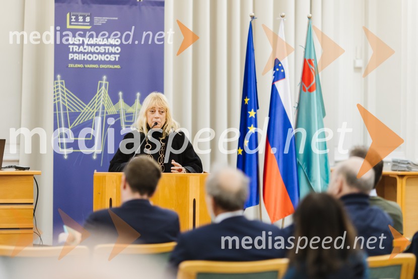 Reka Soča in njeni mostovi, razstava