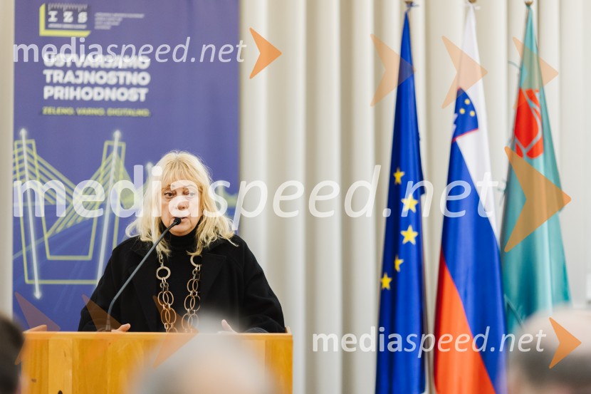 Reka Soča in njeni mostovi, razstava