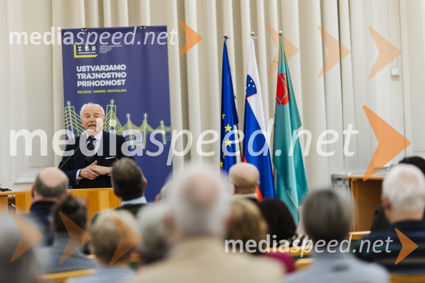 Reka Soča in njeni mostovi, razstava