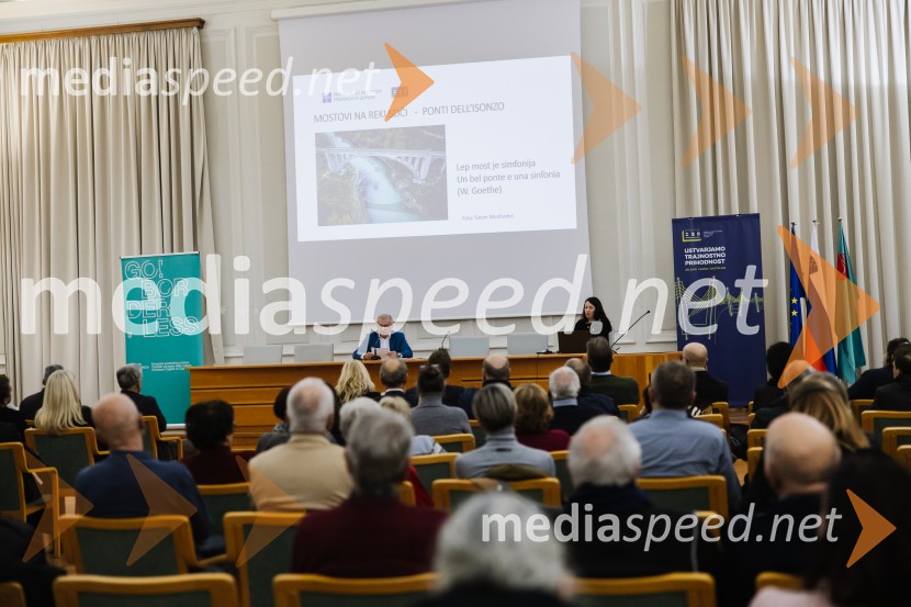 Reka Soča in njeni mostovi, razstava