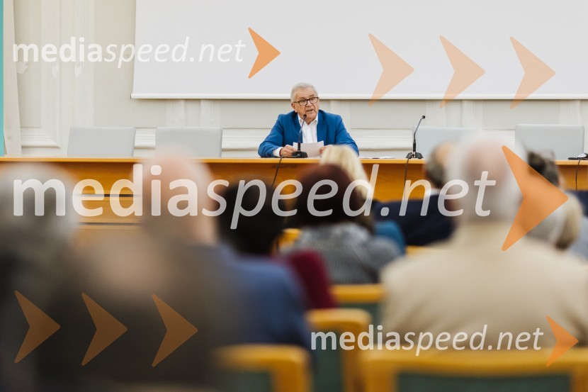 Reka Soča in njeni mostovi, razstava